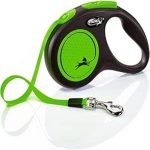 Flexi New Neon Tape 5m Green Leash for small and medium dogs up to 25kg