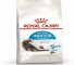 Royal Canin Indoor cat food for adult indoor cats in UAE