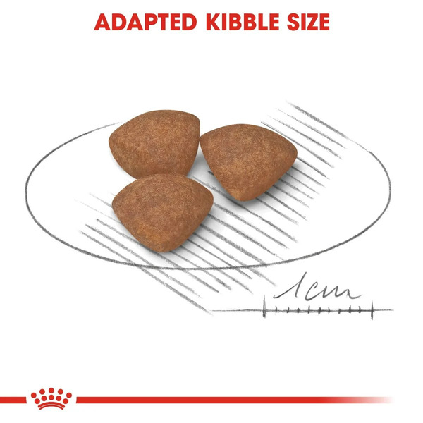 Boost your puppy’s immunity and growth with Royal Canin Mini Puppy — made for small breeds in UAE’s warm climate.